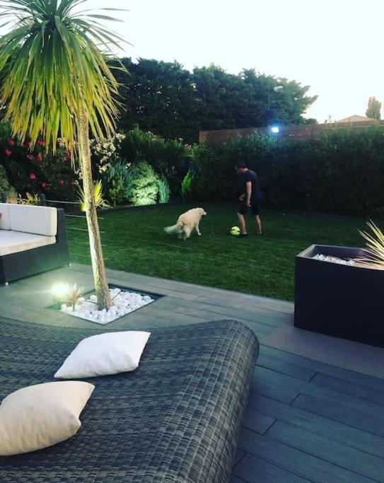 Maison De Vacances Contemporaine Avec Piscine Villa Vedène Exterior foto